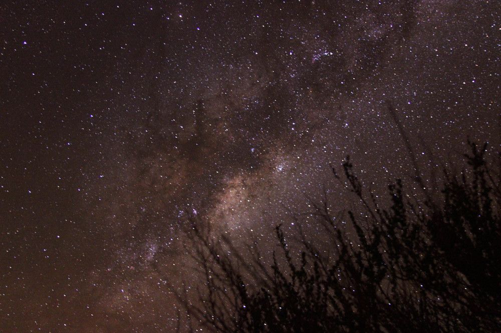 Photograph by Janaina Nunes