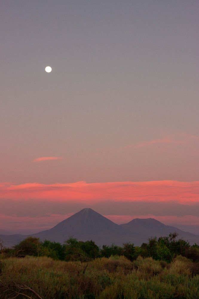 Photograph by Janaina Nunes