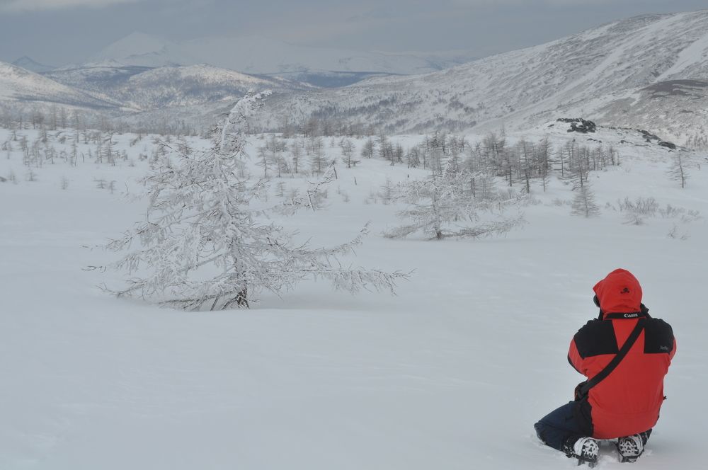 Photograph by Евгений Захаров