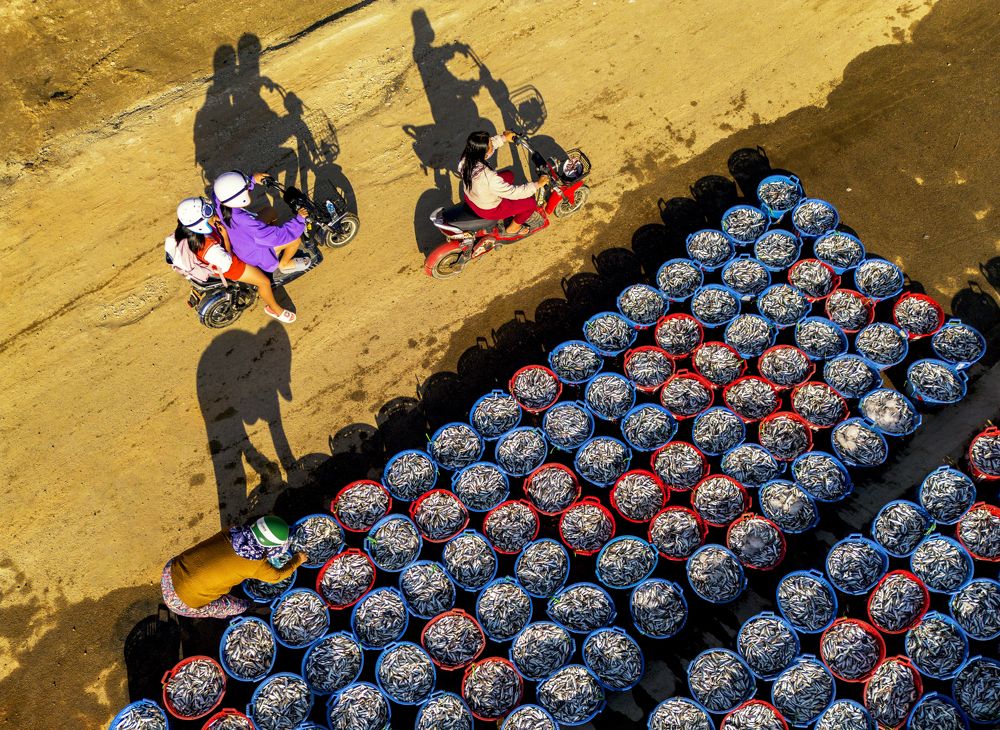 Фотография автора Nghĩa Trịnh