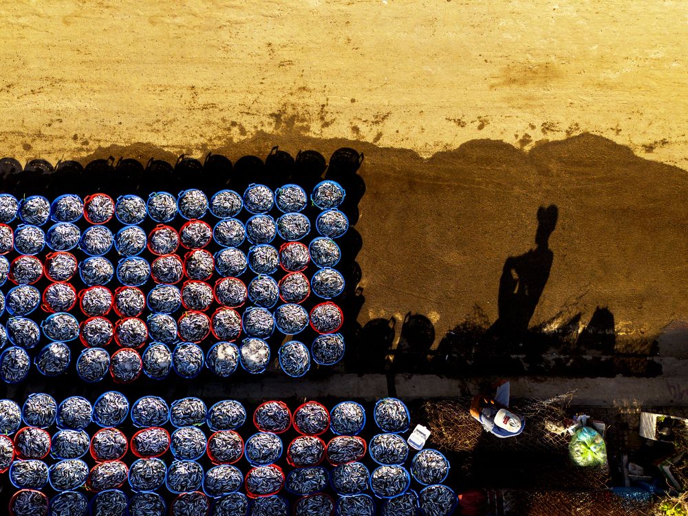 Фотография автора Nghĩa Trịnh