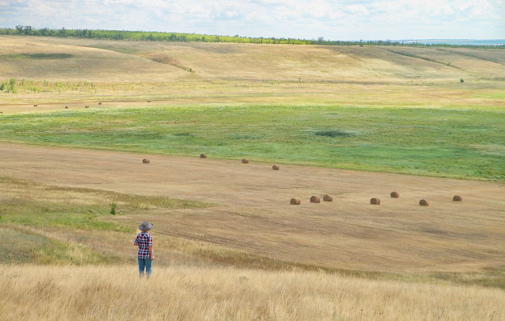 Степные просторы