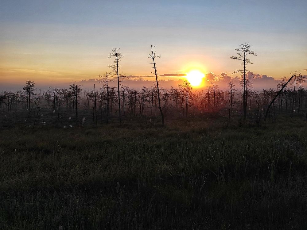 Photo #9339603