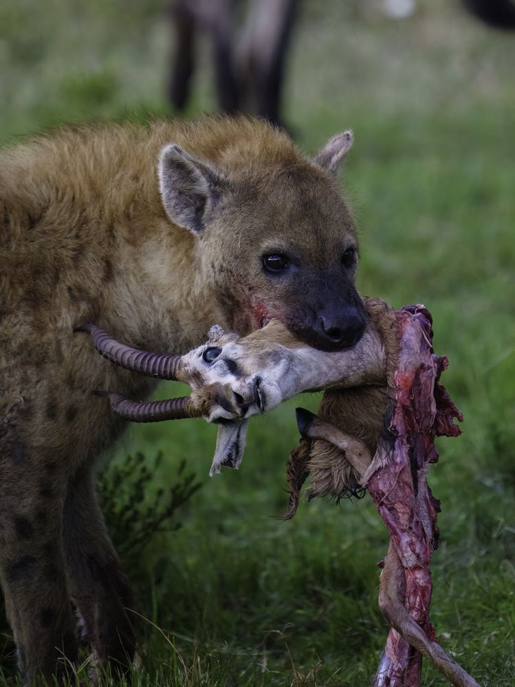 Фотография автора sajin mohan