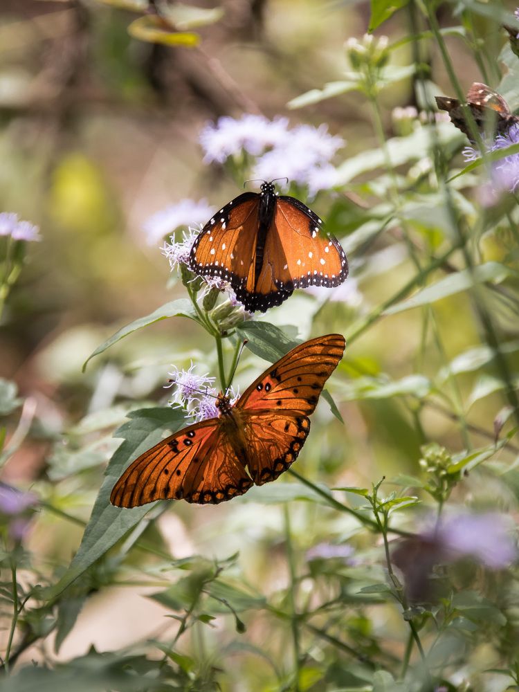 Photograph by Анатолий Костерев