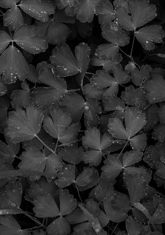 Photograph by Дмитрий Киреев