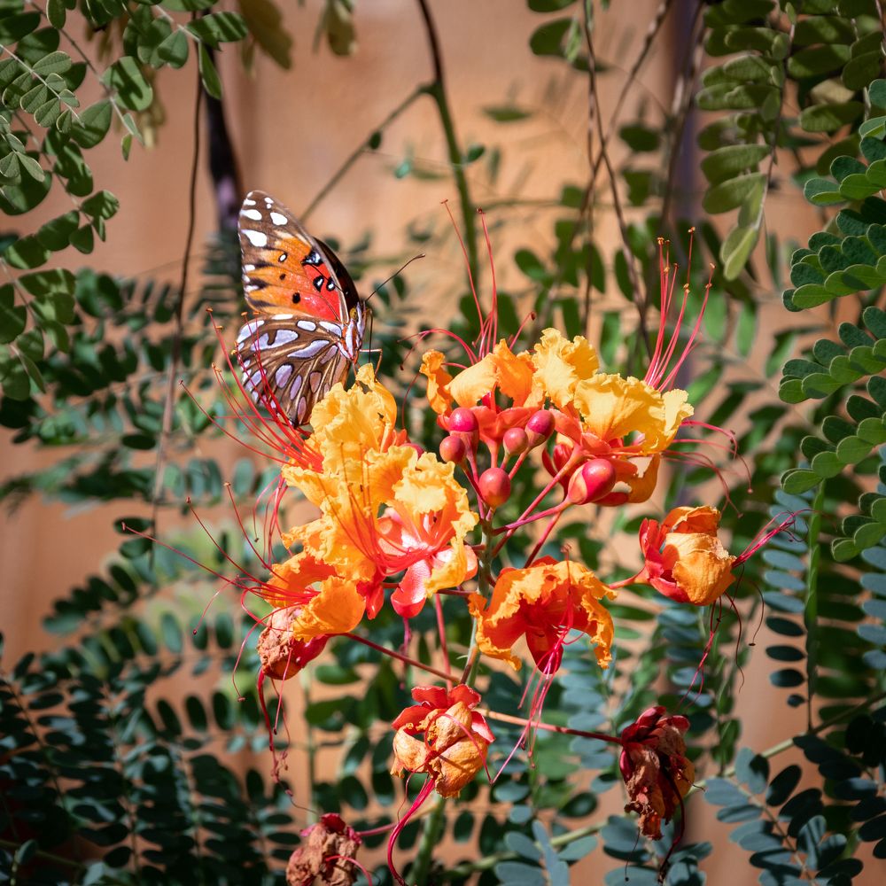 Photograph by Анатолий Костерев