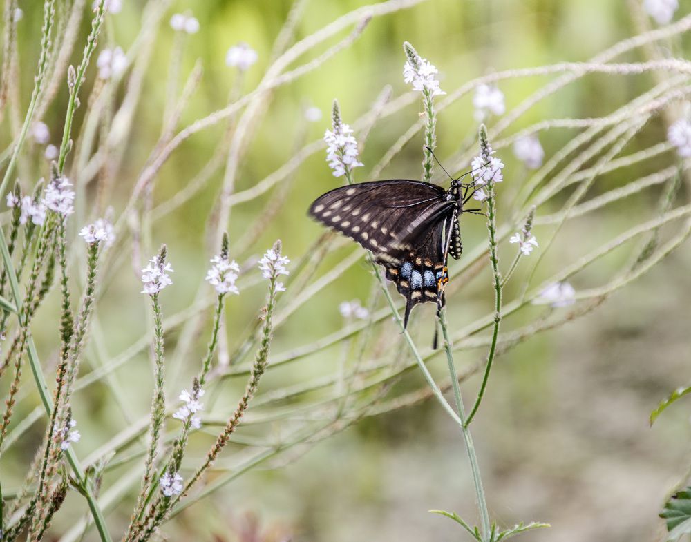 Photograph by Анатолий Костерев
