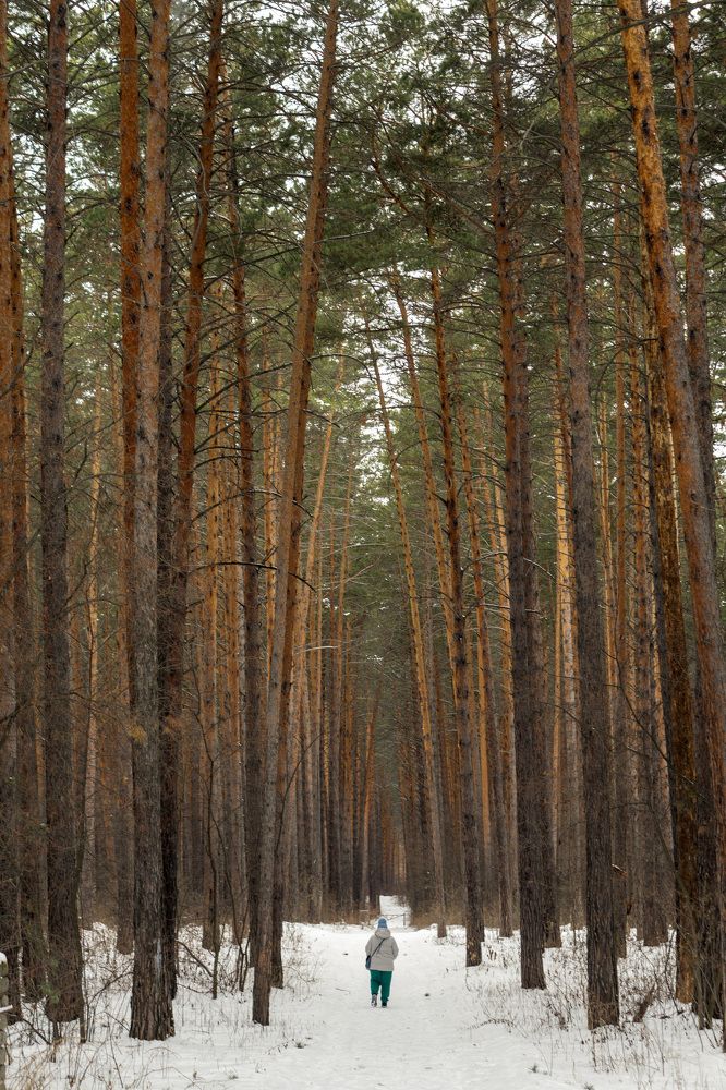 Photograph by Александр Пургин