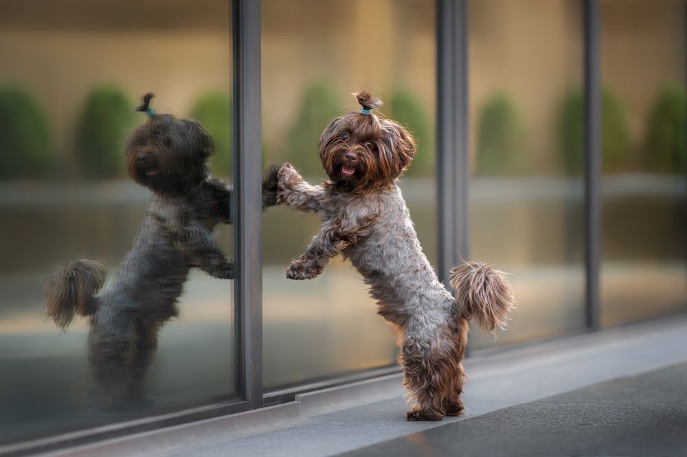 Фотография автора Eugenia Tuzova