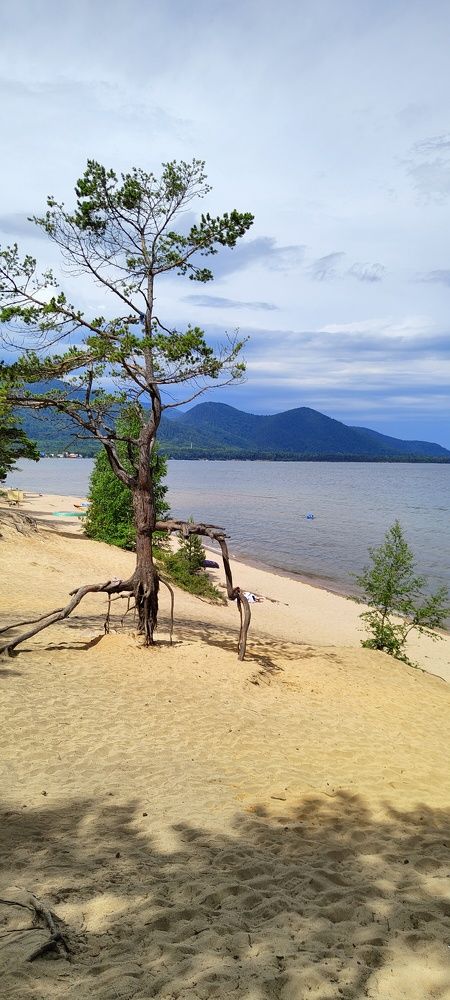 Photograph by Галина Урлапкина