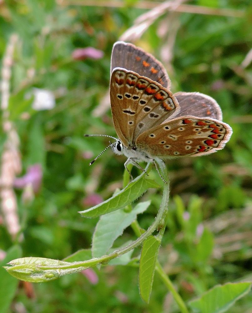 Photograph by Светлана Богомолова