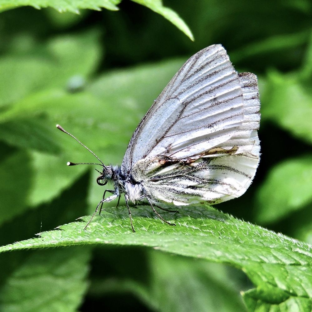 Photograph by Светлана Богомолова