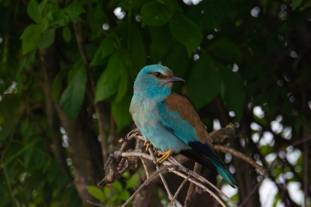 Photograph by Владимир Стрелков