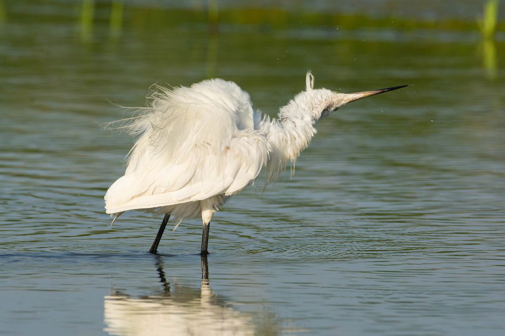 Photograph by Владимир Стрелков