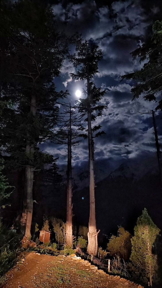 Photograph by Neelesh Jain