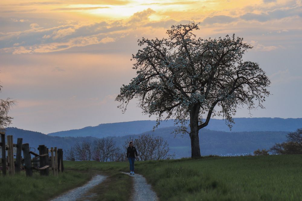 Photograph by Lyudmila Klimanova