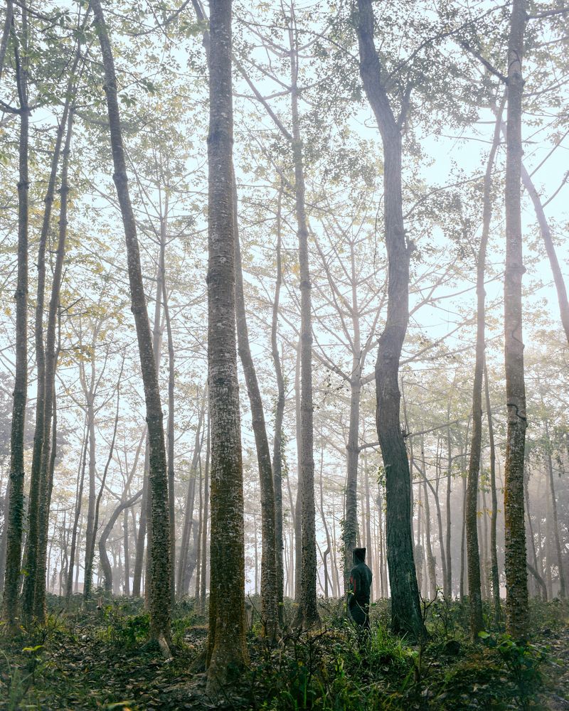 Photograph by Nishant Raj