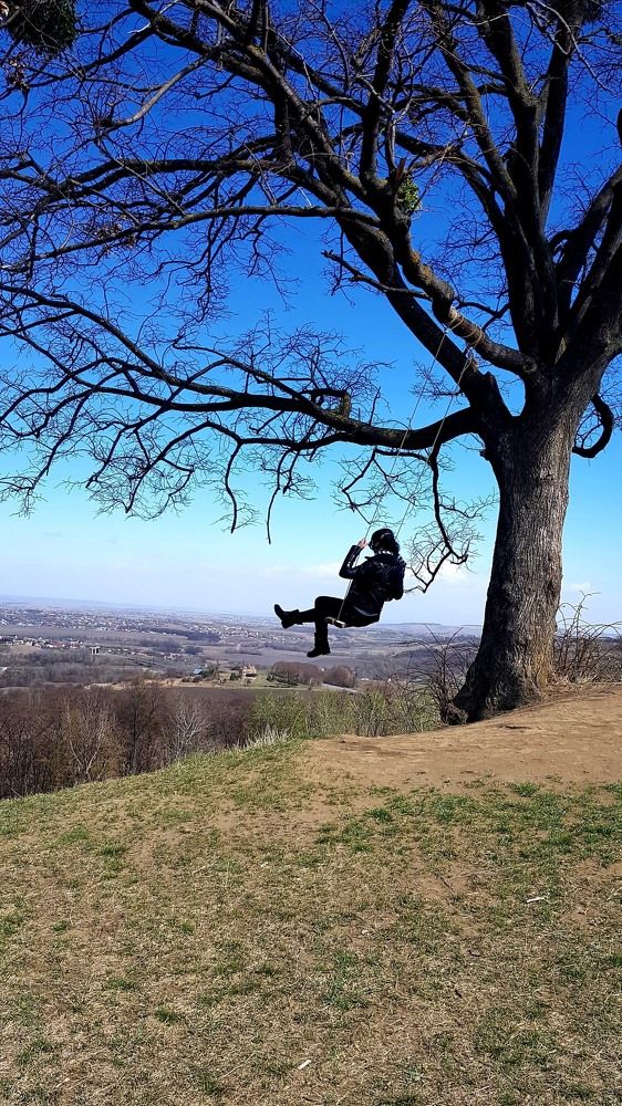 Фотография автора Ирина Зиник