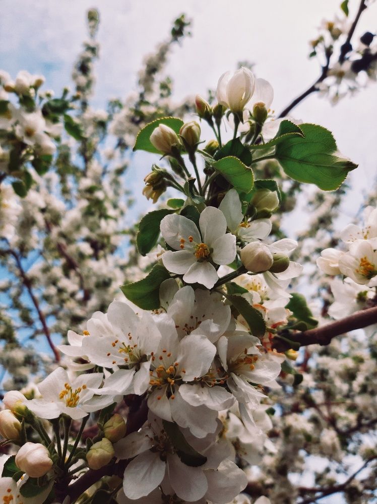 Photograph by Дамир Батряков