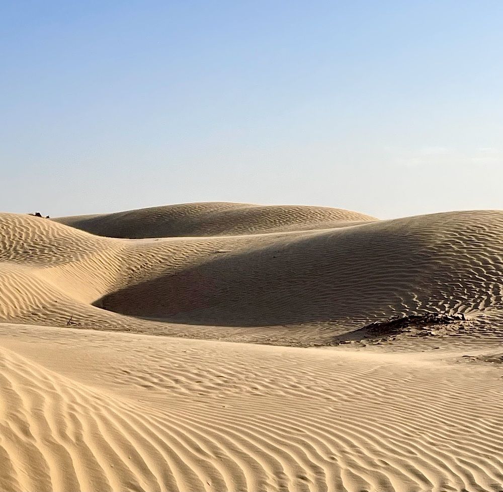 Photograph by Sandra Bruttomesso