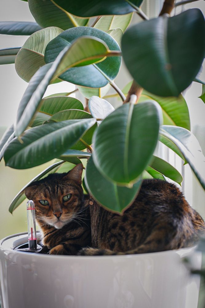 Photograph by Ольга Бутвина