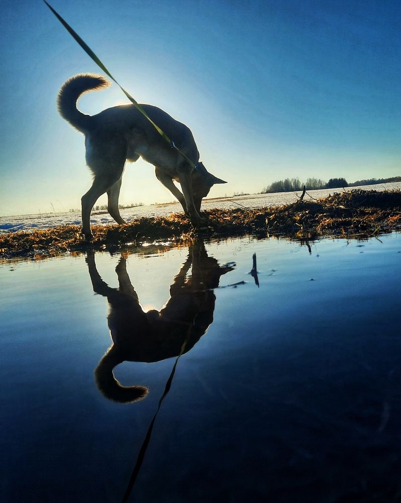 Фотография автора Лена Гром