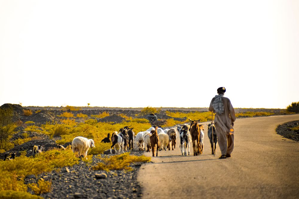 Photograph by Murad Hasil