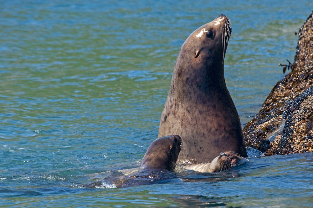 Photograph by Максим Тыщенко