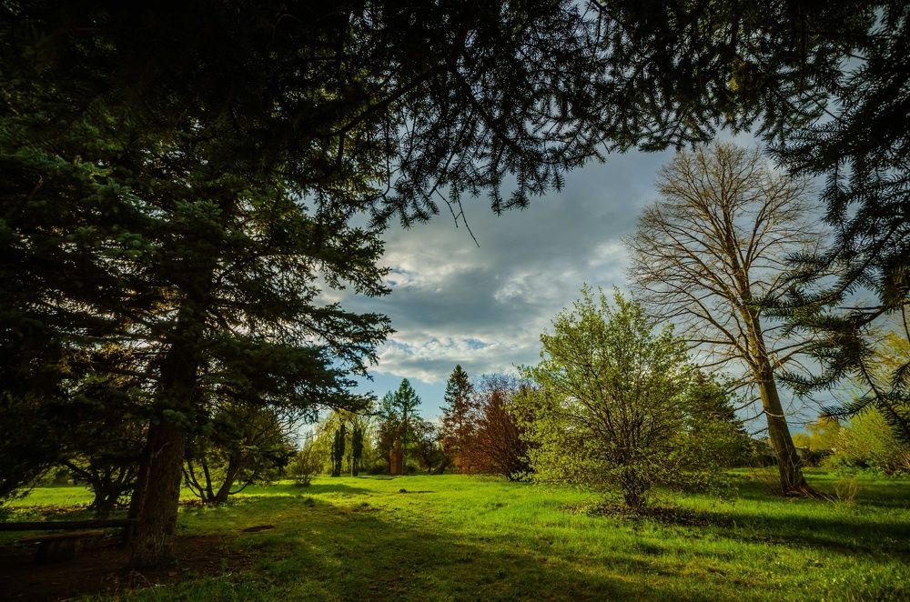 Photograph by Андрей Кузнецов