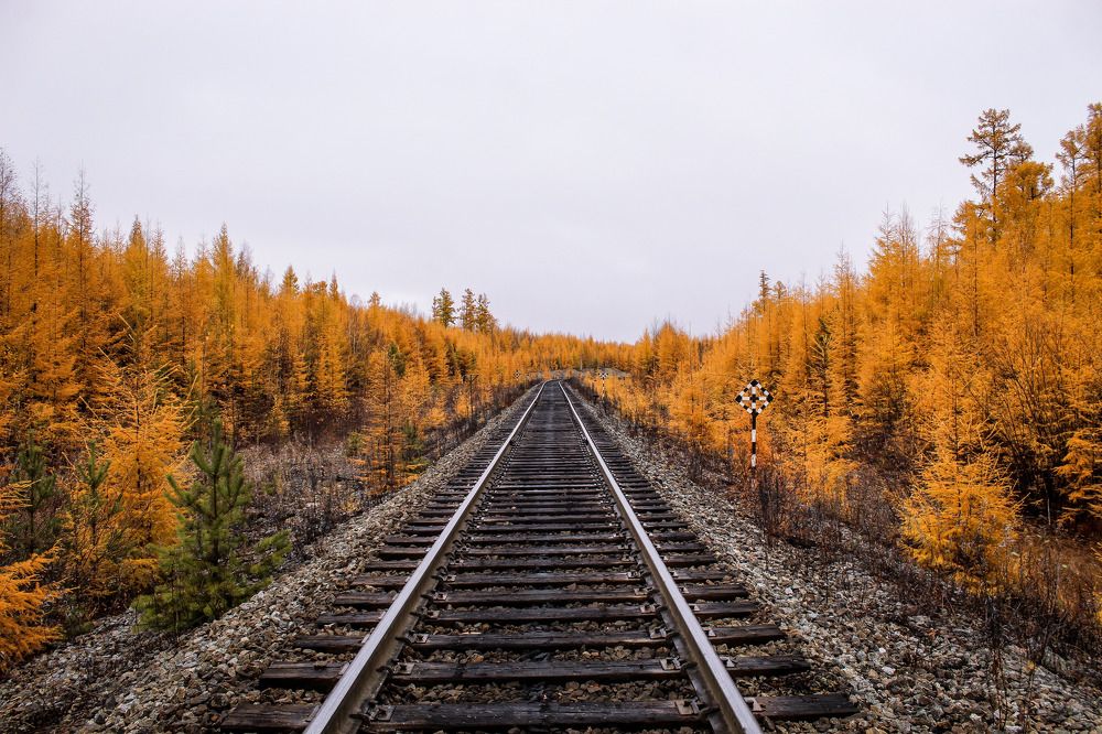 Photograph by 
