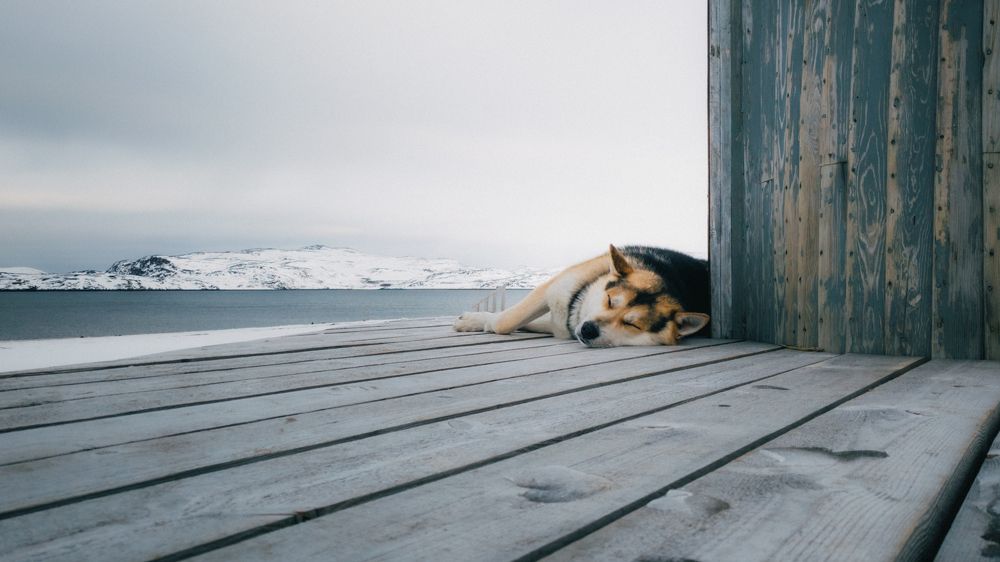 Фотография автора Андрей Жуков