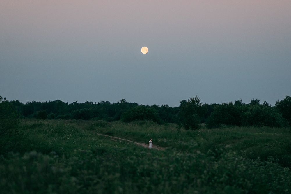 Photograph by Сальников Евгений