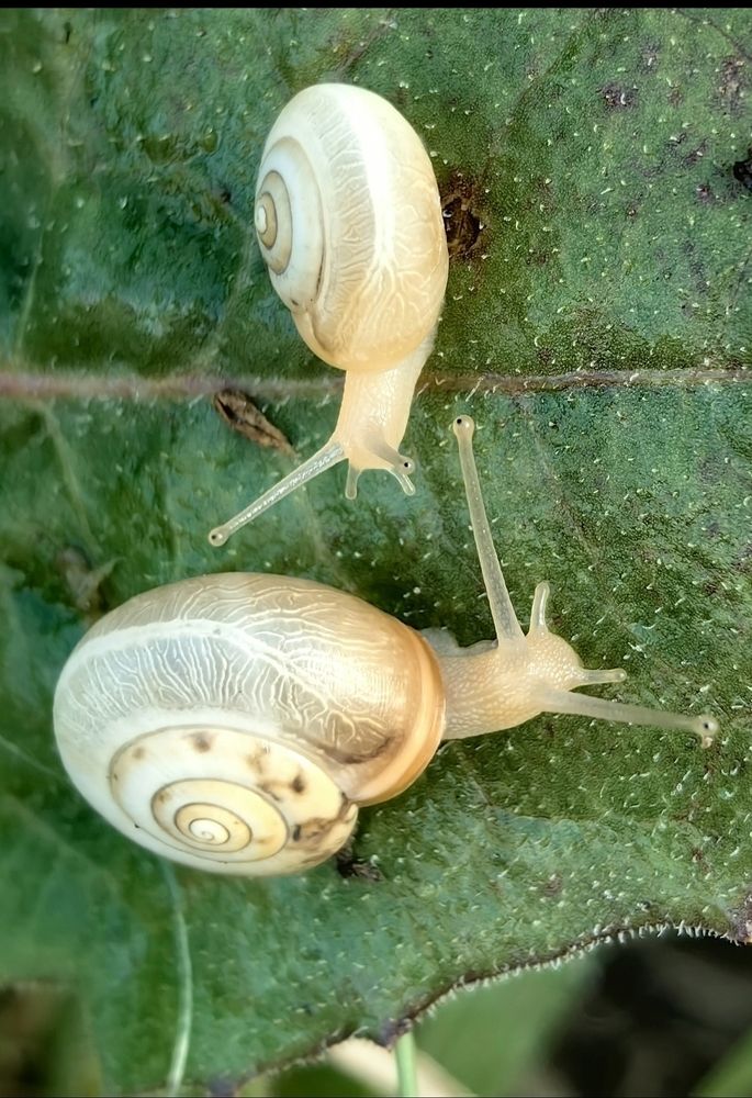 Photograph by Ирина Тихая