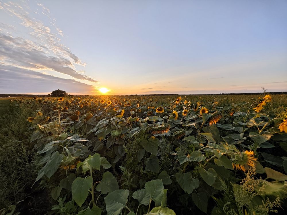 Photograph by Олег Сальников