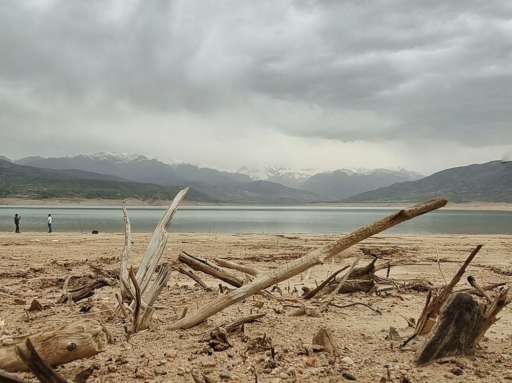 Photograph by Асад Ибадов