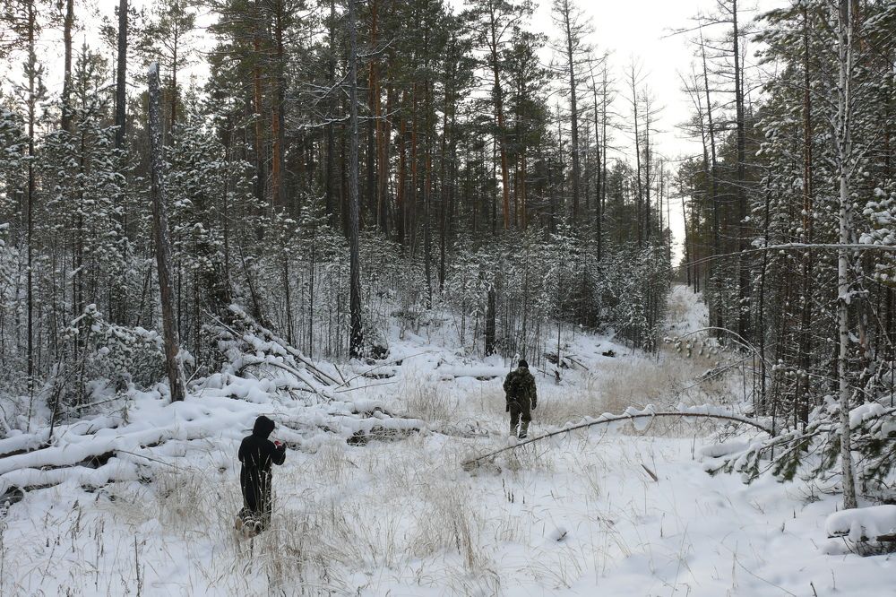 Photograph by Людмила Федорчак