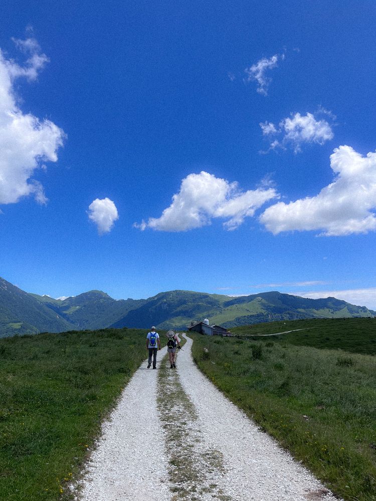 Photograph by Елена Плюхина