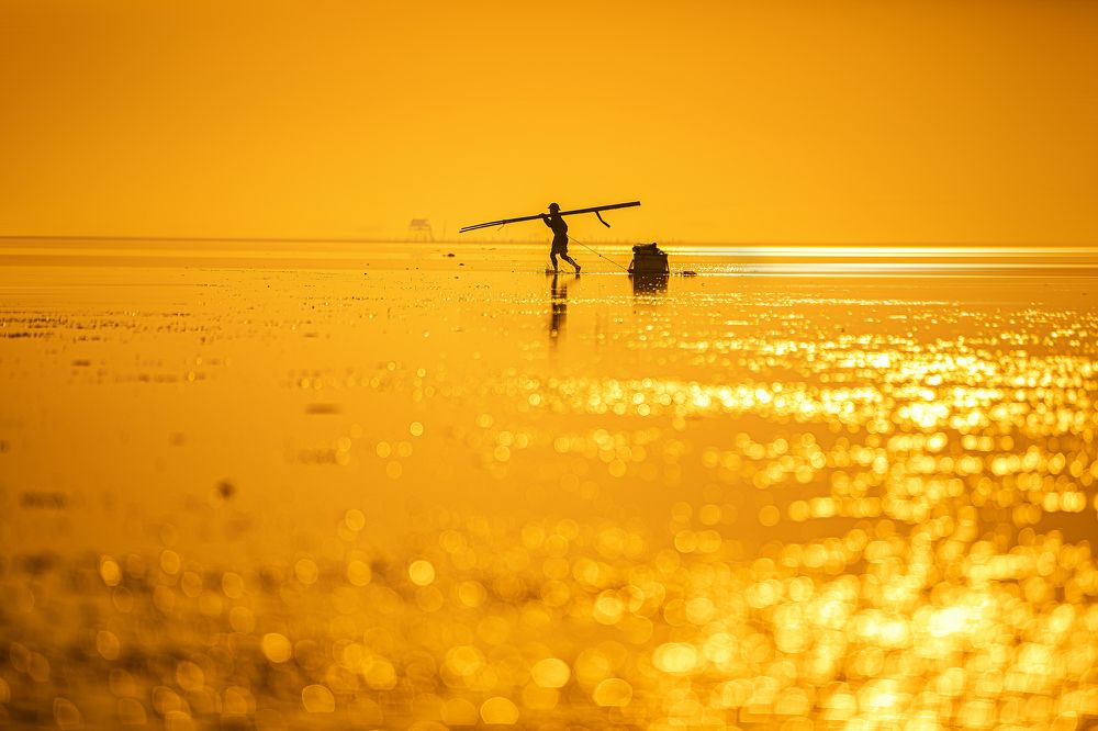 Photograph by DOAN NGOC ANH