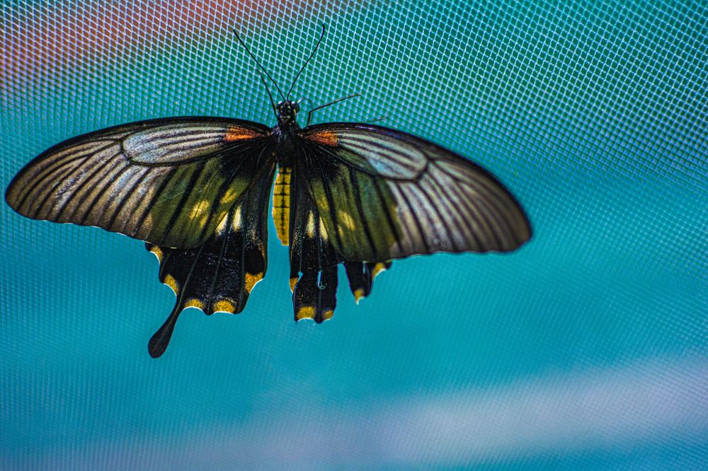 Photograph by Артём Александрович