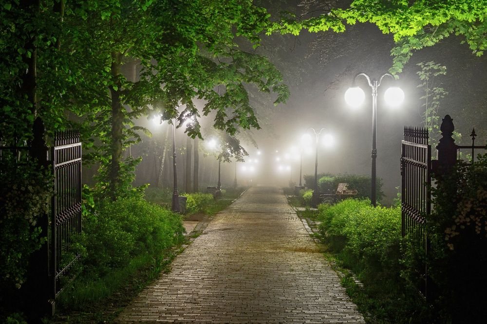 Photograph by Вячеслав Кровопусков