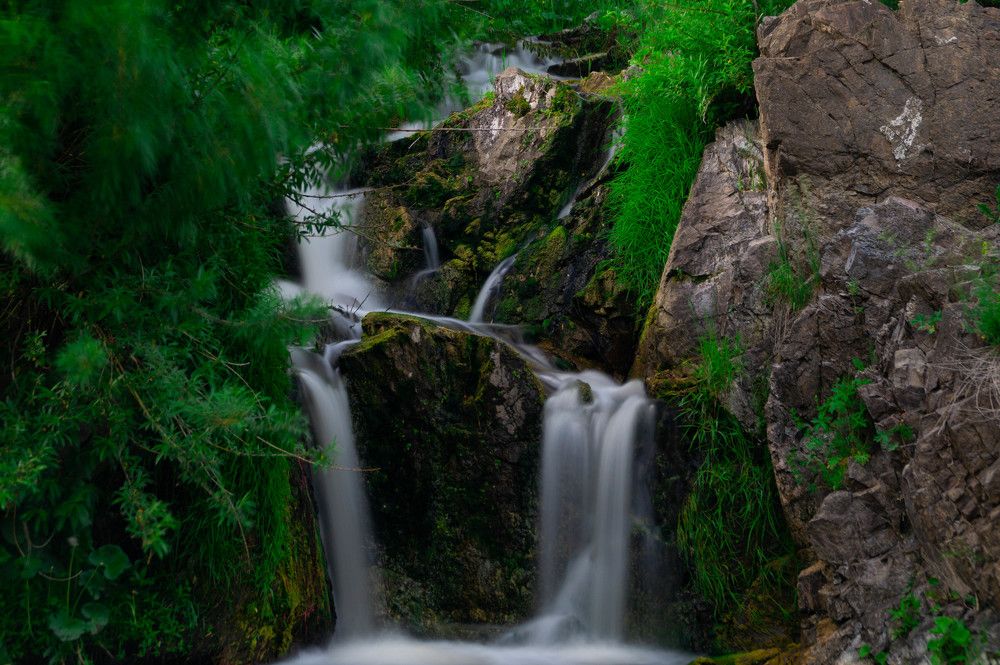 Photograph by Дубровин Николай