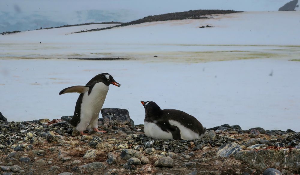 Photograph by Макс Панков