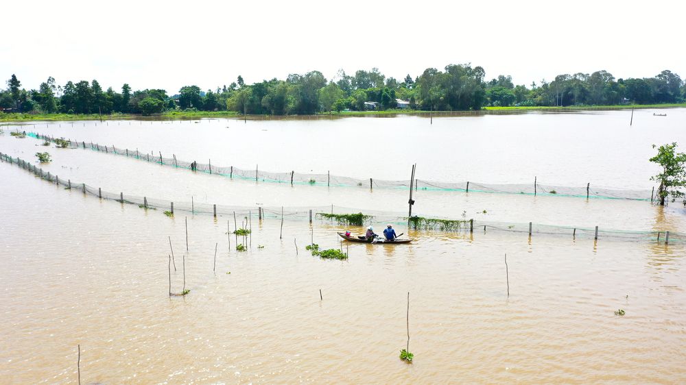 Mùa nước nổi