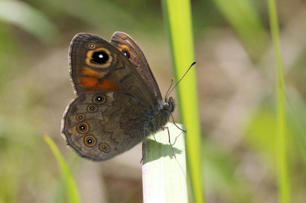 Photograph by Юрий Соколков