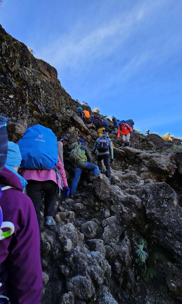 Photograph by Lucia Taut