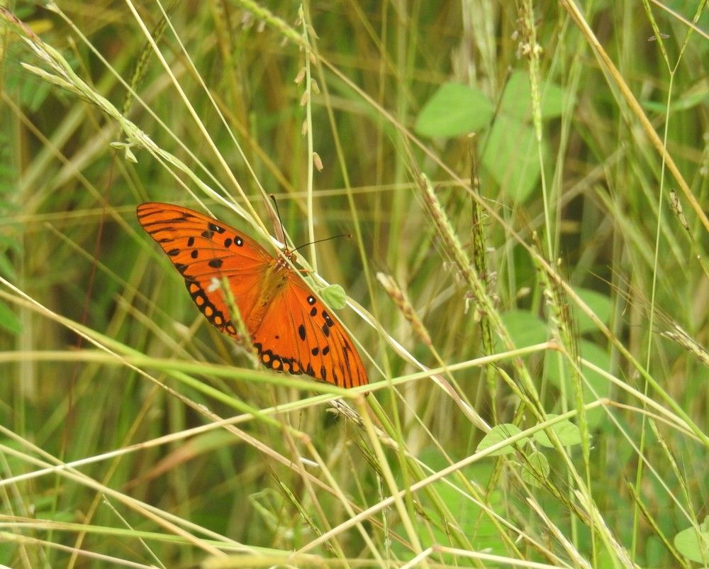 Photograph by Эдуард Седельник