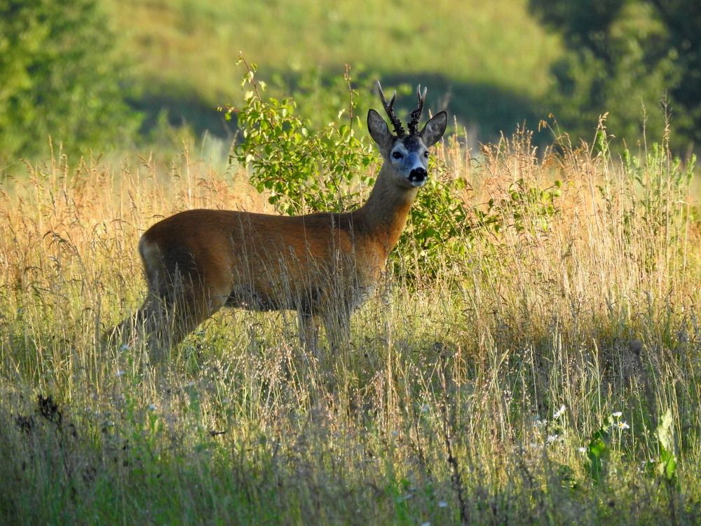 Photograph by Татьяна Калугина