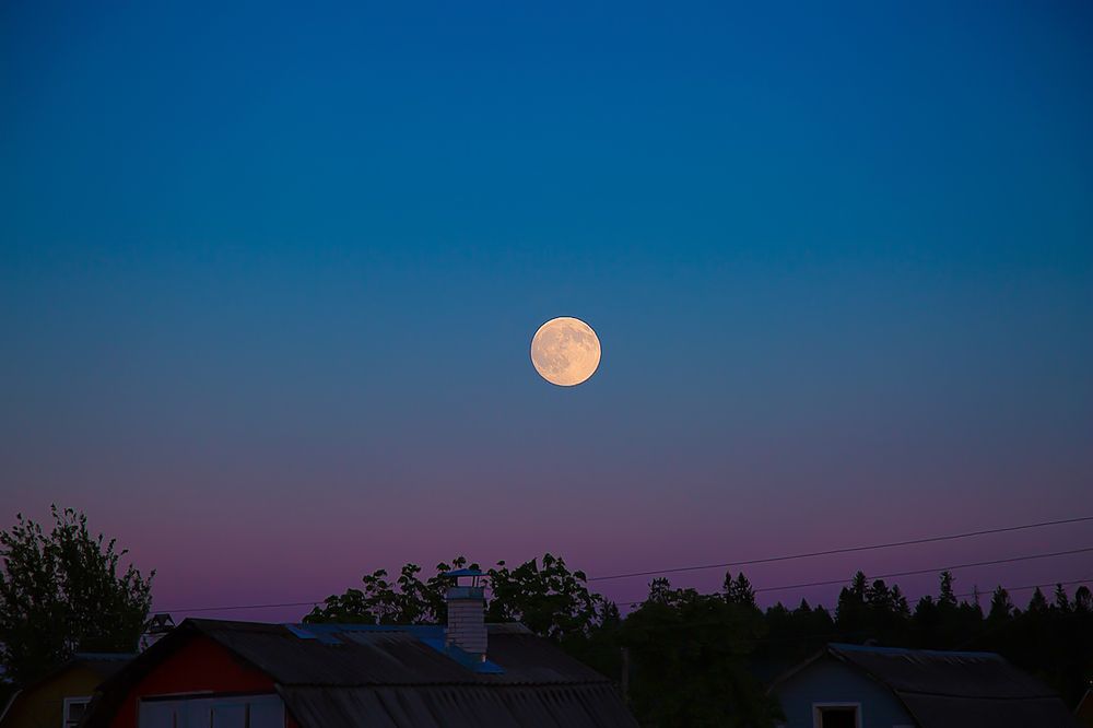 Photograph by Ляля Иоффе