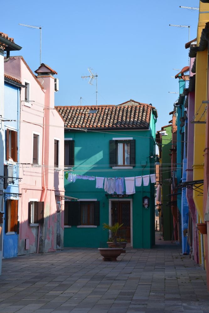 Фотография автора ANNA ILICHEVA